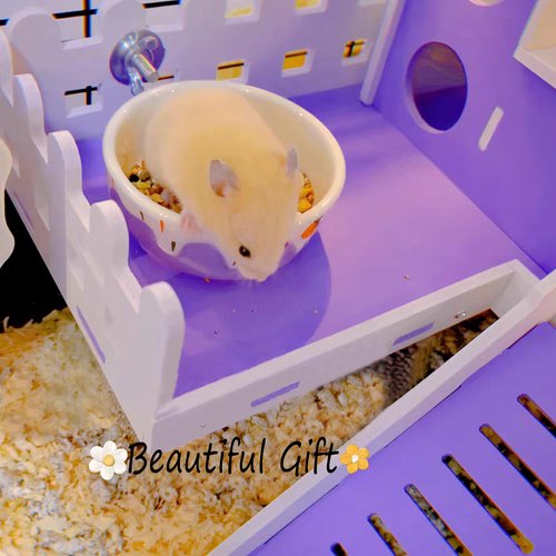 Hamster Food Bowl,Small Animals Ceramic Food Water Bowl Prevent Tipping Moving for Guinea Pig Rabbit Gerbil Chinchilla Hedgehog Rat (2 Pack) (- Color: Purple + Blue)