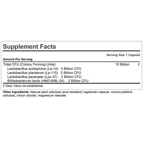 ANDREW LESSMAN Friendly Flora Probiotic 90 Capsules – 10 Billion CFU, Comprehensive Blend of Five Probiotic Strains, Powerful Immune and Digestive Support. Probiotics for Women or Men
