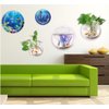 Creative Acrylic Hanging Wall Mounted Fish Tank, Hanging Bowl for Water Plants, Wall Fish Bubble Tank, Hydroponic Air Plant Flower Pot, Mini Aquarium Planter, Home Decor, Fake Plants Nail Stone Etc