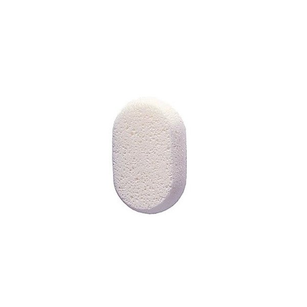 Aquasentials Classic Bath Sponge (2 Pack)