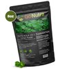 Gotu Kola 10:1 Extract Powder (8 oz), Centella Asiatica | Gluten Free and Non-GMO | Ayurvedic Herbal Supplement