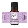 Wild Essentials Top 6 piece Single Note Essential Oil Set -100% Pure Therapeutic Grade Aromatherapy Kit with Lavender, Eucalyptus, Tea Tree, Orange, Lemongrass, Peppermint - 10ml, Made in The USA