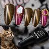 Allenbelle Magnet Gel Nail Polish Cat Eye Soak Off UV Magetic Gel Nail Polish (with Magetic As Gift,7.3Ml) (001)
