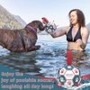 QDAN Dog Toys Soccer Ball with Straps, Interactive Toys for Tug of War, Puppy Birthday Toy, Dog Water Toy, Dog Balls for Small Medium Dog (6 Inch)
