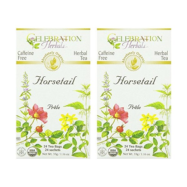 Celebration Herbals Organic Horsetail Tea Bags 24 Count
