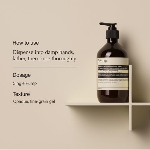 Aesop Reverence Aromatique Hand Wash | Cleanse and Exfoliate the Hands | With Botanical Extracts And Finely Milled Pumice | 16.9 oz
