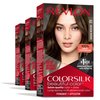 Revlon Permanent Hair Color, Permanent Hair Dye, Colorsilk with 100% Gray Coverage, Ammonia-Free, Keratin and Amino Acids, 41 Medium Brown, 4.4 Oz (Pack of 3)