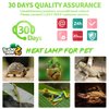 LUCKY HERP 4 Pack 100W Reptile Heat Lamp Bulb (2nd Gen), Amphibian Basking Light Bulb, Reptile Daylight Bulb for Turtle, Bearded Dragon, Lizard Heating Use
