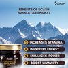 scash Direct Discounts Premium Shilajit Pure Himalayan Organic shilajit Supplement Shilajit Resin Lab Report with Fulvic Acid & Trace Minerals 85+ Humic Acid 0.7 Ounce