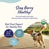 kin+kind Natural Cranberry Supplement Powder for Dogs&Cats - Boost Healthy Immunity and Bladder Support with Organic Formula - Organic Cranberry, Blueberry and Coconut - Small 4oz - Made in USA