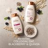 Aveeno Blackberry Quinoa Protein Blend Sulfate-Free Shampoo for Color-Treated Hair Protection, Daily Strengthening & Moisturizing Shampoo, Paraben & Dye-Free, 12 Fl Oz (Packaging may vary)