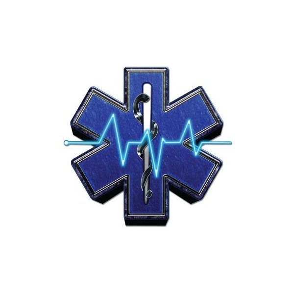 GT Graphics Express EMS - 12" Vinyl Sticker Waterproof Decal