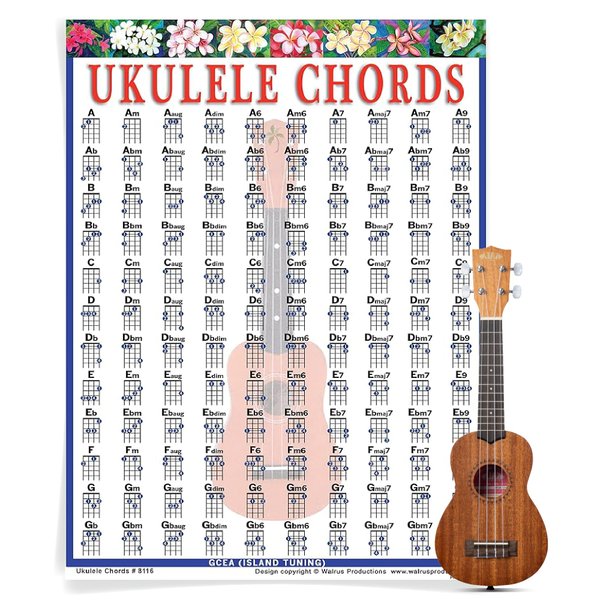 Mini Ukulele Chord Chart Laminated - Ukulele Chords Poster for Beginners and Musicians - Beginner Ukulele Music Theory Trainer - Ukulele Accessories - 8.5" x 11" - Walrus Productions