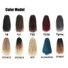 Aipin Goddess Locs Crochet Hair 14 Inch River Locs Boho Hippie Locs Wavy Crochet With Curly Hair In Middle And Ends Braids Hair Extensions (7Packs,14 inch, T30)