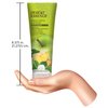 Desert Essence Green Apple & Ginger Body Wash - 8 Fl Ounce - Refreshing - Vitamins A, B & C - Scented - Cleanses & Revitalizes - Yucca Cactus - No Parabens