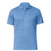 Men's Dry Fit Golf Polo Shirt (as1, Alpha, l, Regular, Regular, Light Blue)