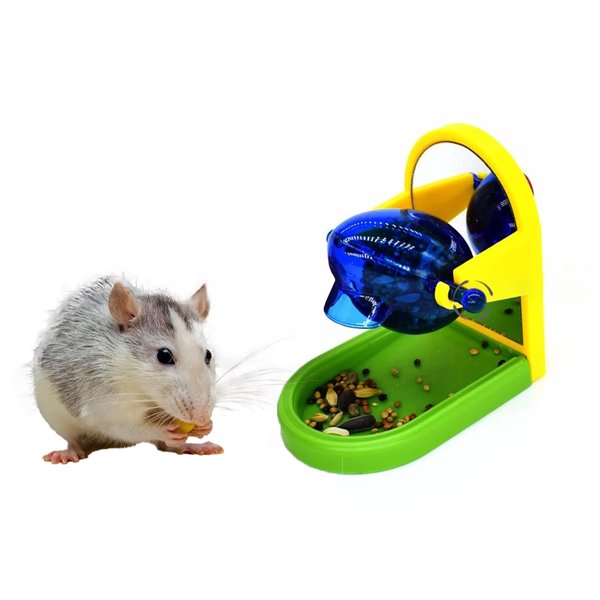 Bivpreom Rat Toys for Pet Rats，Rat Foraging Toy，Rat Cage Toys for Intelligence Growth and Slow Feeder