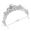Didder Silver Tiaras for Women Bridal Tiara, Crystal Tiaras and Crowns for Women Princess Tiaras for Girls Birthday Crown for Prom Wedding Party Halloween Costume Hair Accessories Christmas Gift