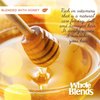 Garnier Whole Blends Repairing Mask Honey Treasures, 10.1 Fluid Ounce