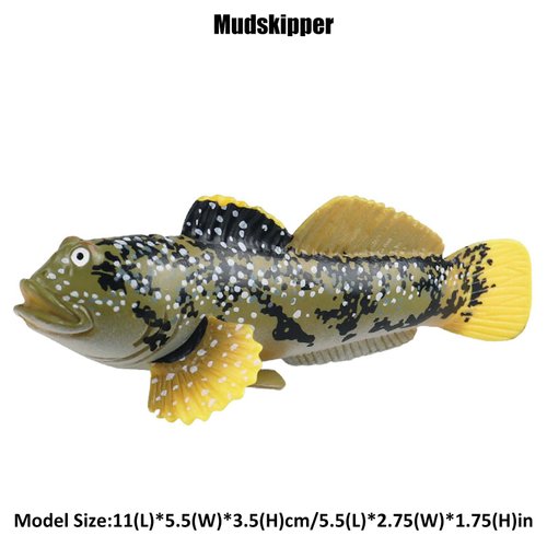 JOKFEICE Ocean Sea Animal Toys, Realistic Mudskipper Fairy Garden Accessories, Learning Educational Toys for Christmas Birthday Cake Topper Gift for Kids