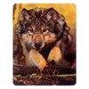3D Wildlife Collector's Cards - Holographic Lenticular Motion - Pack Of 24 Cards.