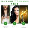 Black Hair Dye Shampoo 3 in 1 Hair Color Shampoo Instant Hair Dye Shampoo for Gray Hair, Herbal Ingredients Black Hair Shampoo for Women Men 100% Gray Coverage - Lasts 30 Days, 500ml