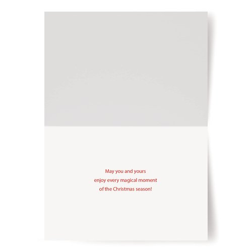 Designer Greetings Boxed Red Farm Studios Christmas Cards, Various Seashells with a Starfish and Holly (Box of 18 Nautical/Coastal Holiday Cards with White Envelopes),Sand & Seashells,125-00836-000