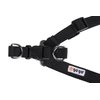 GoGo Pet Products Comfy Nylon 5/8-Inch Adjustable Easy Pet Harness, Small, Black