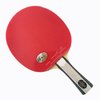 Palio Expert 2 Table Tennis Bat & Case
