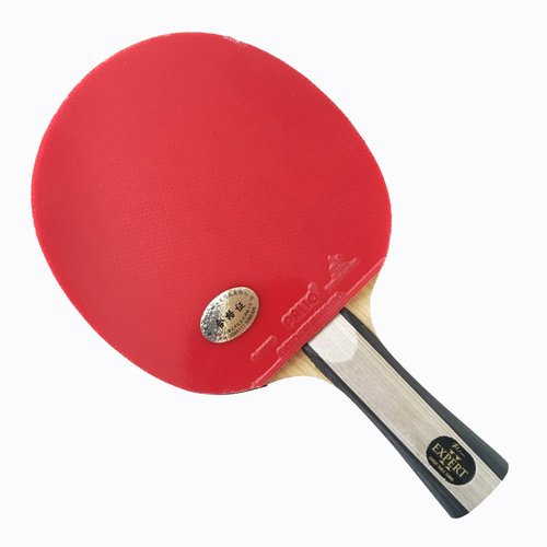 Palio Expert 2 Table Tennis Bat & Case