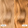 dpHUE Color Dream, Strawberry Blonde - Ammonia-Free, Demi-Permanent Hair Color - Lasts 16 Washes - Boosts Shine - Paraben & Sulfate Free, Leaping Bunny Certified