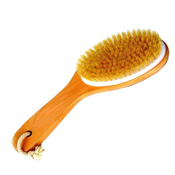 Natural Boar Bristle Body Brush with Wooden Handle by Spa Destinations for wet or dry brushing bath and shower