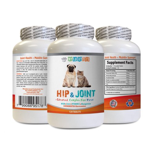 MY LUCKY PETS LLC Dog Joint Bones - PET Hip and Joint Complex - Dogs and Cats - Natural Vet Approved Formula - Immune Boost - Good for Stiff Joints - Dog glucosamine Joint - 1 Bottle (120 Tabs)