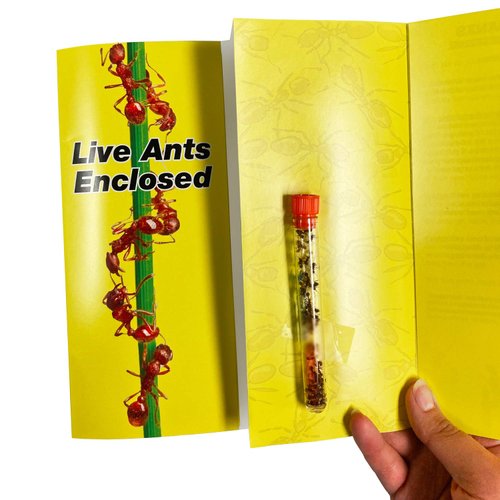 Live Blue Gel Ant Habitat Shipped with 25 Live Ants Now (1 Tube of Ants)