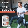 Xtend Original BCAA Powder Italian Blood Orange, Sugar Free Post Workout Muscle Recovery Drink with Amino Acids for Men & Women, 15.3 Oz