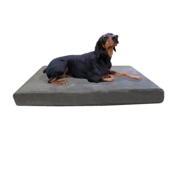 55''x47''x4'' Gray Colored Washable Microfiber Suede Waterproof Orthopedic True Solid High Density Memory Foam Therapeutic Pad Pet Super Big Dog Bed Crate Free 2nd External Washable Cover