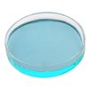 EISCO Petri Dish, 3.93" (100mm) - Beaded Edges Easy to Sterilize for Repeated Use Borosilicate Glass- Eisco Labs