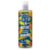 Faith In Nature Grapefruit & Orange Shower Gel & Foam Bath, 13.5 Oz