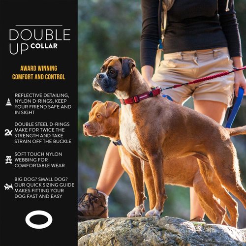 EzyDog Double Up Premium Nylon Dog Collar with Reflective Stitching - Double D-Rings for Superior Strength, Safety, and Comfortability - Non-Rusting and Includes an ID Attachment (Medium, Green Camo)