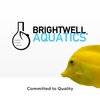 Brightwell Aquatics BlackWater Humic Fulvic Acid Supplement Simulates Natural Blackwater Conditions Supports Nutrient Uptake in Freshwater Planted Aquariums, 500 ml