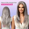 testar 13×6 HD Lace Front Wig Long Gray Wigs for Women 22 Inch Silver Ombre Wig Straight Natural Layered Hair Glueless Wig Synthetic Lace Front Wigs Middle Part Halloween/Party/Daily Use (Hand Tied)