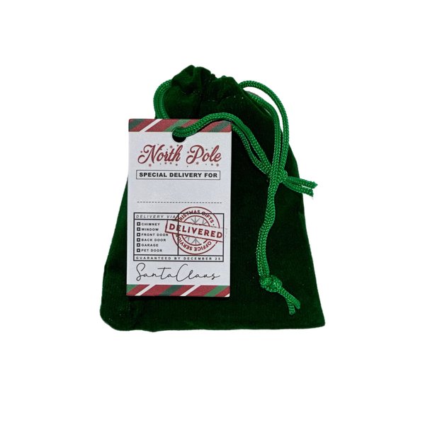 Ultimate Naughty List Lump of Coal Christmas Surprise! Beautiful Plush Green Velvet Jewelry Bag Filled with Real Authentic Coal and Designer Gift Tag!