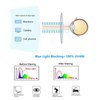 EYE ZOOM 2 Pack Blue Light Blocking Readers Aviator Style Anti Blue Ray and UV Reading glasses,Gold, Gunmetal,+1.75