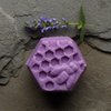 Lavender & Patchouli Shampoo Bar with Quinoa Protein & Raw Honey