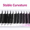 VEYES INC YY Lash Extensions Tray C/D curl 9-15mm Mixed Length Premade Volume Eyelash Fans, Professional Lash Extension Supplies, Matte Black(5D-W 0.07 D-curl 9-15mm)