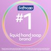 Softsoap Liquid Hand Soap White Tea and Fusion, Berry, 11.25 Fl Oz