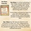Sea Moss Soap Bar| Handmade| For All Skin Types Acne, Eczema, Psoriasis | Shea Butter, All Natural, Body and Face, Dr. Sebi Inspired, Vegan, Gluten Free, Men & Women, Moisturizing, Essential Oils