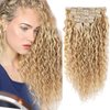 FASHION LINE Brazilian P27-613 Water Wave Blonde Human Hair Extensions Unprocessed Human Hair Bundles Weft 1PC 100g Piano Color (18" 100G Clip In Human Hair P27-613)