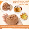 Needle Felting Wool - 10 Colour Fall Orange Brown Earth Tone Nature Fibre Wool Roving Yarn Hand Spinning Supplies for Beginners Adult Thanksgiving DIY Craft Materials, 10g/Colour
