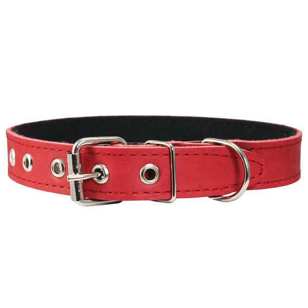 Genuine Leather Dog Collar, Cotton Padded, 1" Wide. (Neck Circumference: 15"-18.5", Red)